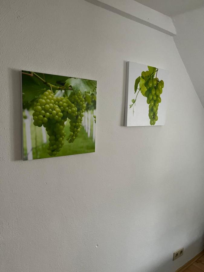 Haus Mika Villa Cochem Eksteriør billede